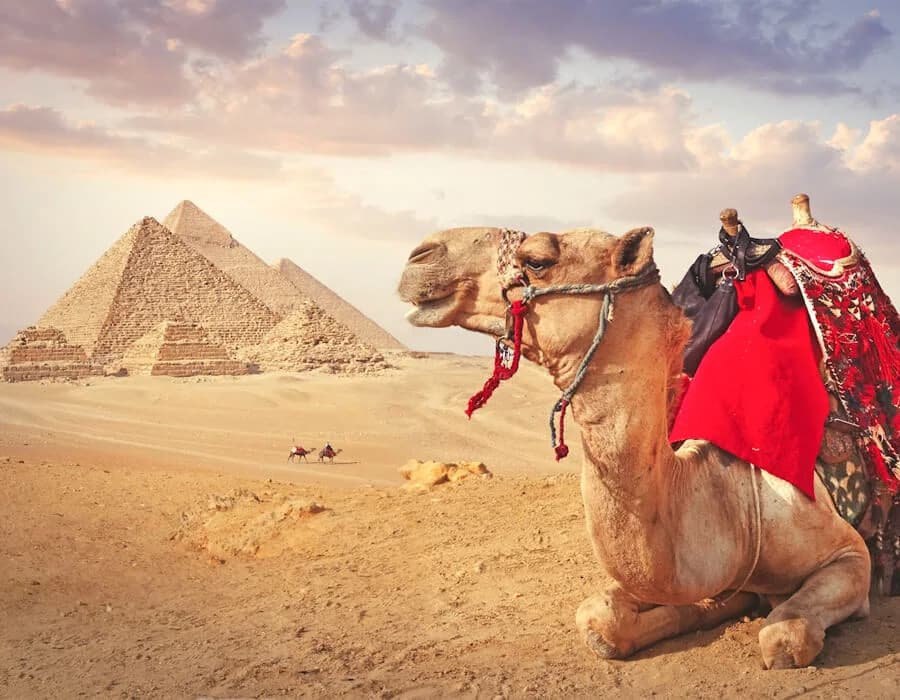 نشاطك يستحق حضور رقمي بمستوى تاريخ بلدك
